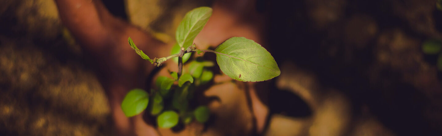 ส่วนบนสุดของเว็บไซต์